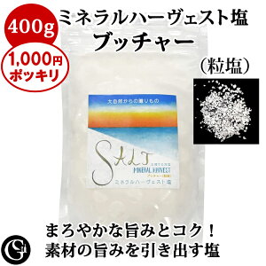 y1000~|bLIz~ln[FXg ~l oX̗ǂ V REub`[ij400g