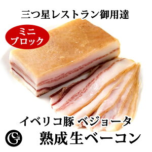 pZ^ xW[^i~jubN 260gj CxR؂̉Ђnx[RyⓀ s9,120~/kgōČvZz