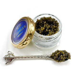 LrA 25g LrÃRN̍肪▭Ƀ}b`IiLrẢƃX[N̍肪▭Ƀ}b`ăNẐȂ킢jiNX}XEEΕEaEMtg