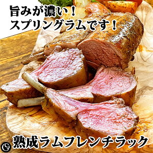 t`bN LbvIt XvO n j[W[hY 500gyⓀ s8,700~/kgōČvZz