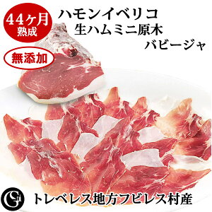 nCxR xW[^ 44n CxR n ~j ior[W/V^}ʁj Yn gxXYyⓀz hO q NX}X  Ε a Mt