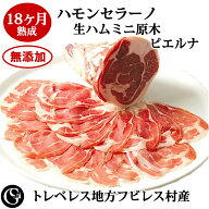 ハモンセラーノ 18ヶ月熟成 生ハム ミニ原木（ピエルナ／ハバキ）無添加生ハム トレベレス地方 フビレス…