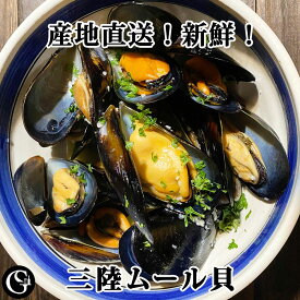 ≪産地直送≫ 三陸ムール貝 オキライ湾 活ムール貝【掃除済でそのまま使えます★送料無料】ミシュラン星付きレストラン御用達 身がふっくらして肉厚ジューシーなムール貝です 収穫したその日に発送！（ギフト・贈答・クリスマス・お歳暮・誕生日）