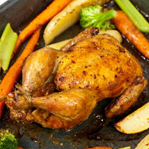 Ȋی{iv[Tj 1H yXyCY ЂȌ{ ے  URGASAzyⓀ z