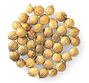 SB@RA_[V[h/z[@100g/P/h/XpCX