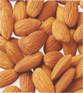 AJY@A[h500g@ibc/ٗp/pޗ//gbsO//Y/_CGbg