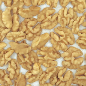 N~n[tija疳@500g/p@ibc/ٗp/pޗ/gbsO//Y/_CGbg/