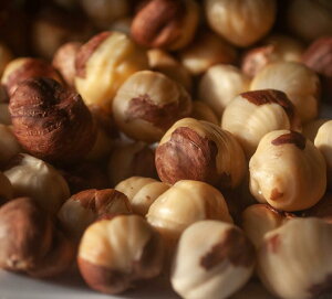 w[[ibcAނg@500gP@ibc/ٗp/pޗ/gbsO//Y/_CGbg/N