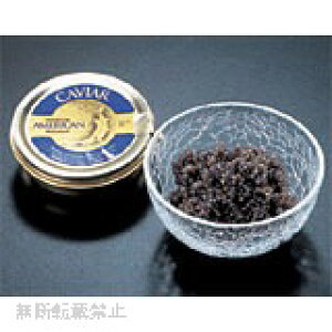 Ⓚ@AJ@LrA / pX`CY @50g@EO咿/`EU///lC/