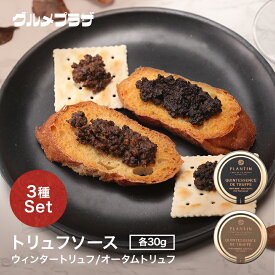 トリュフソースセット（カンテサンストリュフ・秋冬トリフ）30g 　世界三大珍味/キノコ/フランス/トリュフ/