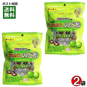 y[֑zTt[ ~GLXv|X̂ǈ 80g×2܂Zbg