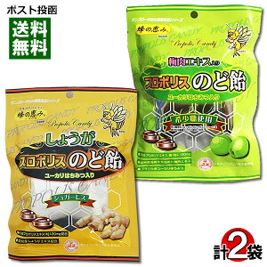 Tt[ ~GLXv|X̂ǈ 80g傤v|X̂ǈ 80g e1 lߍ킹Zbg Ǐb݁y[֑z