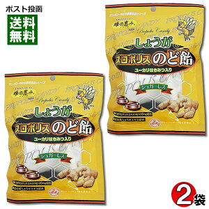 Tt[ 傤v|X̂ǈ 80g×2 Zbg Ǐb mYIGLXgp VK[Xy[֑z