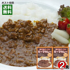 ばあちゃん本舗 観音池ポークのキーマカレー 180g×2食お試しセット ご当地カレー 九州 宮崎 高級レトルトカレー ポークカレー 【メール便送料無料】