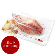 【イズミダイフィレL （200〜250g）】（冷凍） お刺身 生食グレード いずみ鯛 カルパッチョ お寿司 マリ…