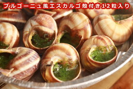 【フランス産 ブルゴーニュ風 エスカルゴ 殻付き12粒】　クリスマス　パーティー　ディナーに escargot French　パーティー　ディナー　お祝い　ギフト　BBQ　バーベキューなどにも 温めるだけ　エスカルゴ　ガーリックバター