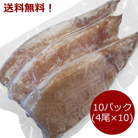 楽天市場 マツイカの通販