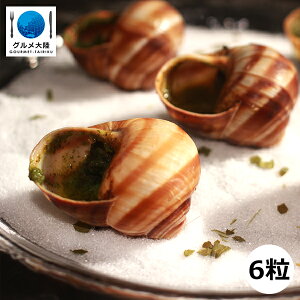 P[X̔ GXJS kt6iT[gCj×10pbN NX}X  p[eB[ tXY