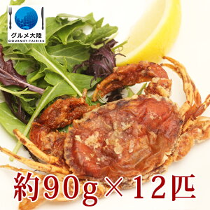 P[X̔ W{TCY 12 \tgVFNu 12C×6pbN ⓀHi  I Jj EI E炩 EJj Ɩp