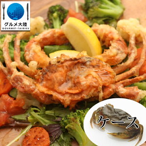 P[X̔ 6pbN \tgVFNu zG[TCY(100g/C) 1P[X(v60C) Ⓚi E炩  Jj I