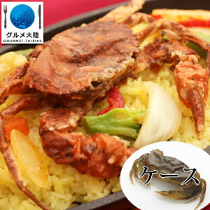 P[X̔ \tgVFNu vCTCY(70g×14C) 1P[X(6pbNjʔ  炸   I Jj Ⓚ nI ^Kj \tgVF  ۂ Vs Hו 