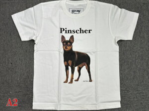 gray us 100% cotton �s���V���[