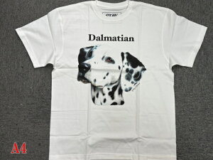 gray us 100% cotton �_�����V�A��