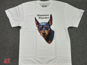 gray us 100% cotton�~�j�`���A�E�s���V���[