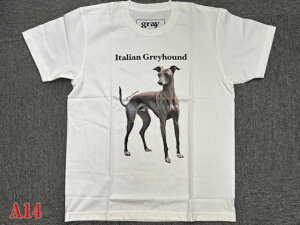 gray us 100% cotton �C�^���A���E�O���[�n�E���h