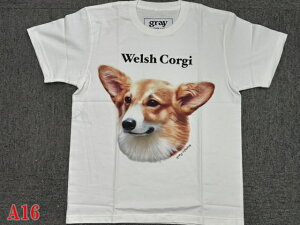 gray us 100% cotton �E�F���V���E�R�[�M�[