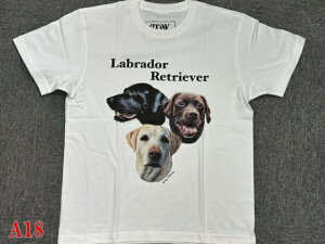 gray us 100% cotton ���u���h�[�������g���o�[