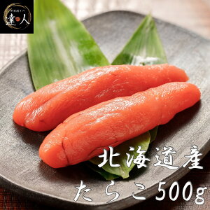 y炱 500g z 炱 ^q Mtg 蕨 XP\E_  ͂̂Ƃ т̂ т̗F ͂̂Ƃ т̂Ƃ ̂܂ |h  O Ⓚ e 