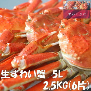 킢I 5LTCY 2.5kg(6) ⓀYCKj YCKj YCI YCJj 킢 킢Jj ⓀJj Ⓚ Ⓚ킢 Jj I   Jj ɂ Jjhgp 