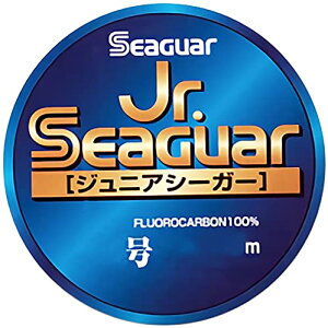 V[K[(Seaguar) nX Jr.V[K[ 40m 5 