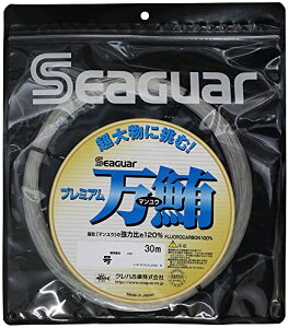 V[K[(Seaguar) V[K[ v~A 30m 20 NA 