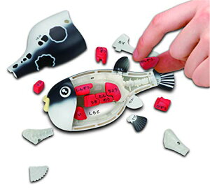 KnEX(MegaHouse) !!gtÕpY PVC 