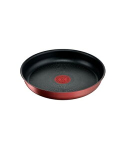 eBt@[ ̂Ƃ tCp 22cm IH KXΑΉ PFOAȂǂ̗LQsgp uCWjIElI IH[WEA 