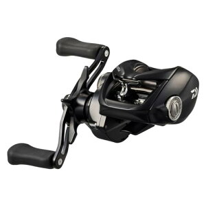 _C(DAIWA) xCg[ 24TATULA TW 100XH 