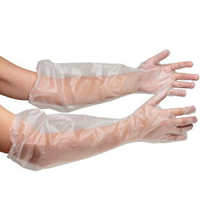 GXe[ NO944|G`g؂܃O NO944C 