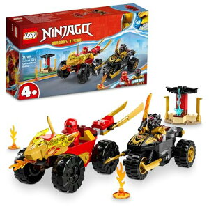 S(LEGO) jWS[ JCƃỸXs[h`FCX  ߋ v[g a ubN m NX}X j̎q  