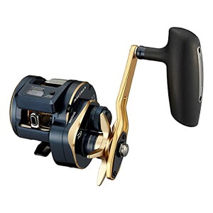 �_�C��(DAIWA) 21 �\���e�B�KIC 300HL-SJ ��������