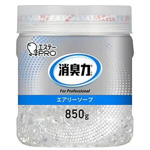 L Ɩp r[Y^Cv e { GA[\[v 850g 