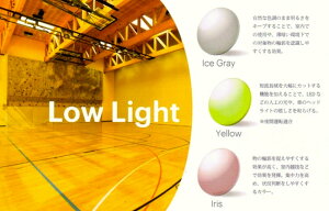 Sight 585 �y Low Light �z | �x�t�� �x�Ȃ� �x���� �x���� ���� �ɒB �����Y ���f�B�[�X �{�i ������� �t���[�� ����