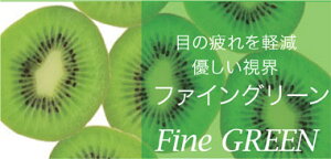 TOKAI Fine Color �t�@�C���O���[�� | �x�t�� �x�Ȃ� �x���� �x���� ���� �ɒB �����Y ���f�B�[�X �{�i ������� �t���[�� ����