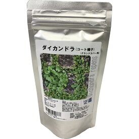 福花園種苗 ダイカンドラ 種子 (コート種子) 100ml詰 (グランドカバー用) ダイコンドラ 福花園 種子 種 たね 緑化 緑化用種子 お洒落 おしゃれ 可愛い 初心者