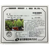 福花園種苗 コキア選抜種 もこもこ 種子10ml詰 コキア 福花園 種子 種 たね 景観 景観用種子 お洒落 おし…