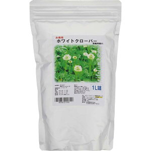 ԉc zCgN[o[ q 1Ll N[o[ ԉ q   Ή Ήpq    킢  S