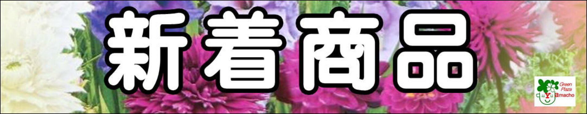新着商品