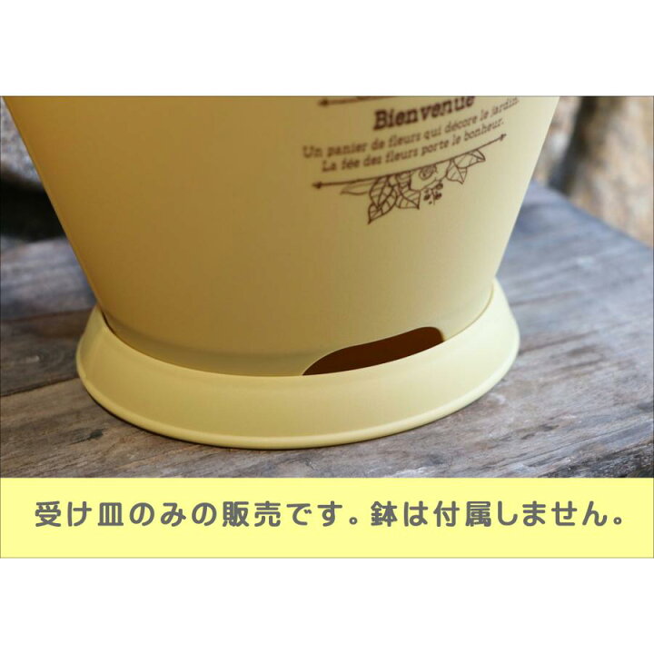 楽天市場】アップルウェアー ブーケポット 専用受け皿 イエロー APPLE 