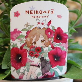 MEIKOペチュ 3.5号ポット苗 コラボ ペチュニア コラボペチュニア 寄せ植え 花壇